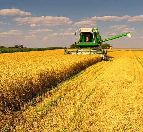 Agroecologia Agroecologia