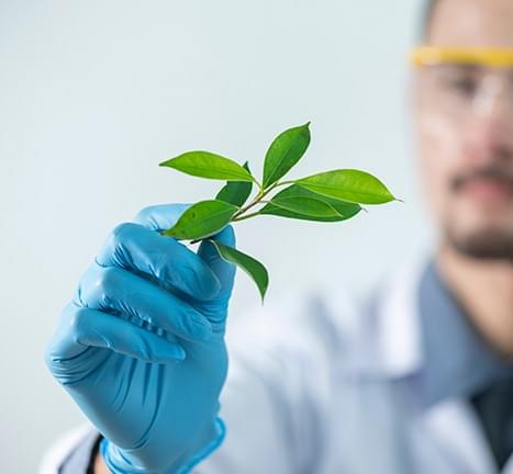 Ciências Biológicas Ciências Biológicas