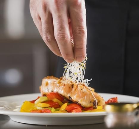 Gastronomia Gastronomia