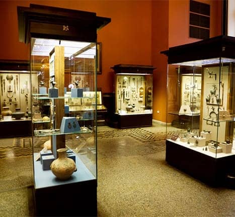 Museologia Museologia