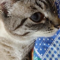 Imagem de perfil: Márcia Dias Imagem de perfil: Márcia Dias